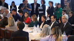 Senado trata en comisiones la Ley Bases, el RIGI y el blanqueo de capitales. Imagen: Ignacio Petunchi.