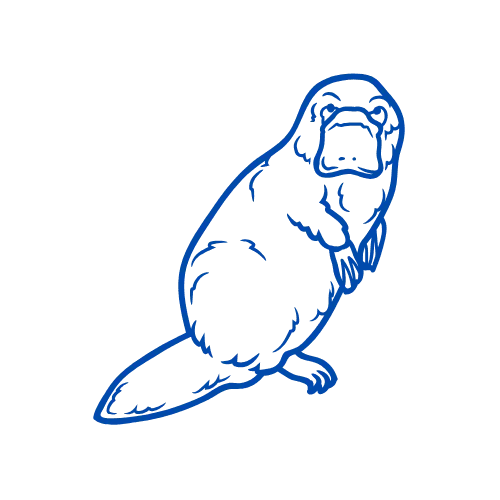 Ornitorrinco