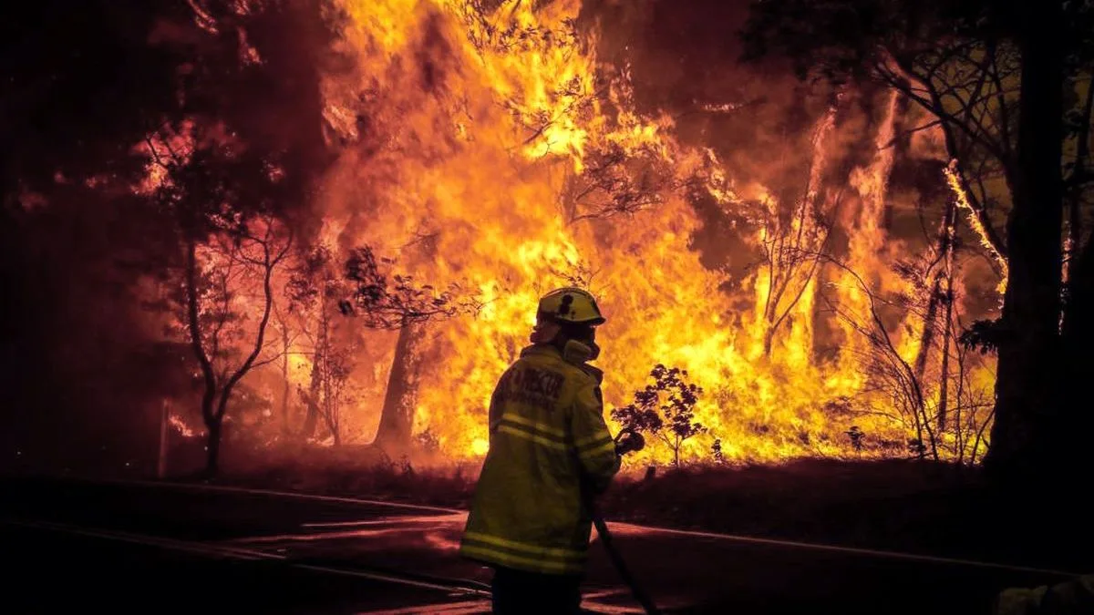 Algo se prende fuego en Córdoba | Ornitorrinco Bombero voluntarios combate el fuego. Imagen de Telám.