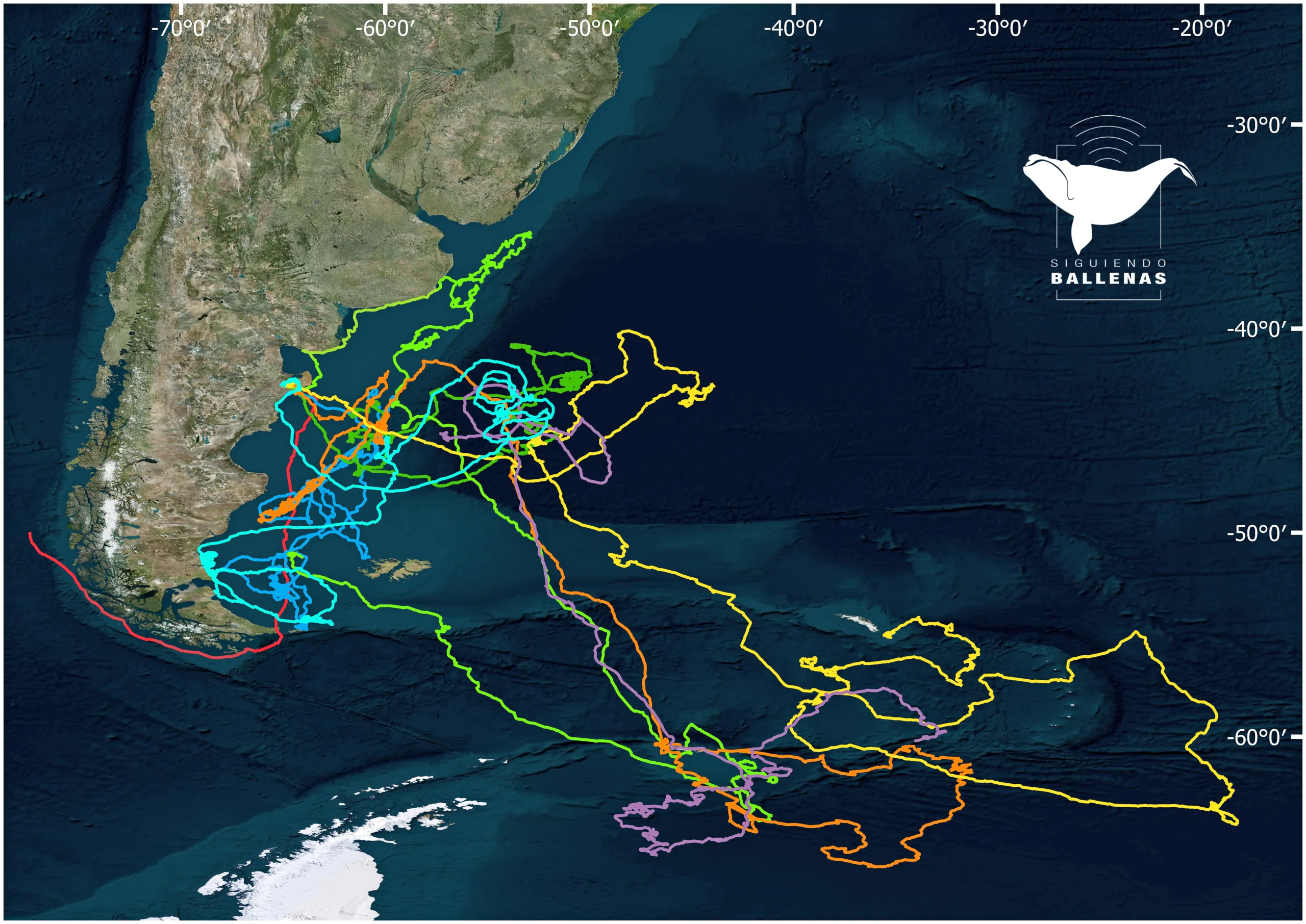 Siguiendo ballenas: otro hito del Conicet | Ornitorrinco Mapa SiguiendoBallenas