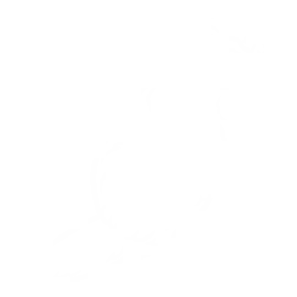 Ornitorrinco