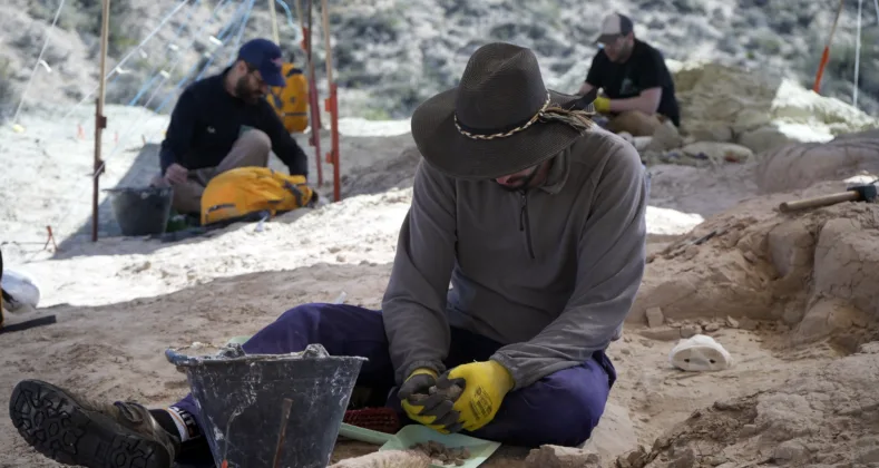 Del Stream al Laboratorio: El Largo Viaje de un Fósil