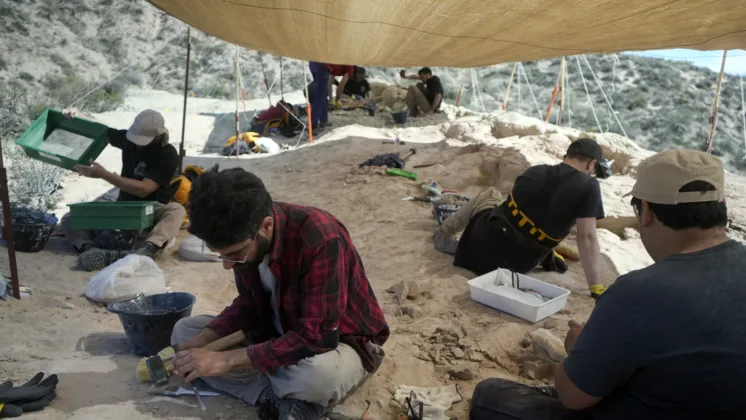 Del Stream al Laboratorio: El Largo Viaje de un Fósil