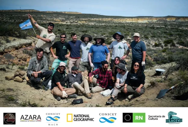 Del Stream al Laboratorio: El Largo Viaje de un Fósil