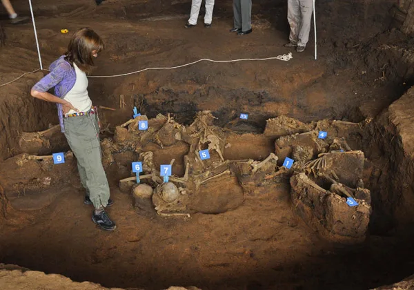 El violento oficio de excavar | Ornitorrinco el violento oficio de excavar 5 | El violento oficio de excavar | Ornitorrinco