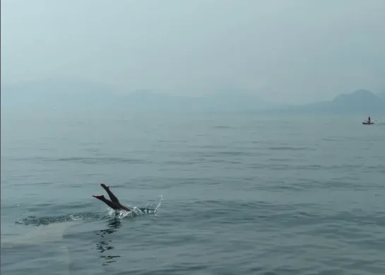 Las clases empezaban con lo más básico: tomar conciencia de la respiración. Inhalar, exhalar, aguantar. Foto/Agencia Ocote